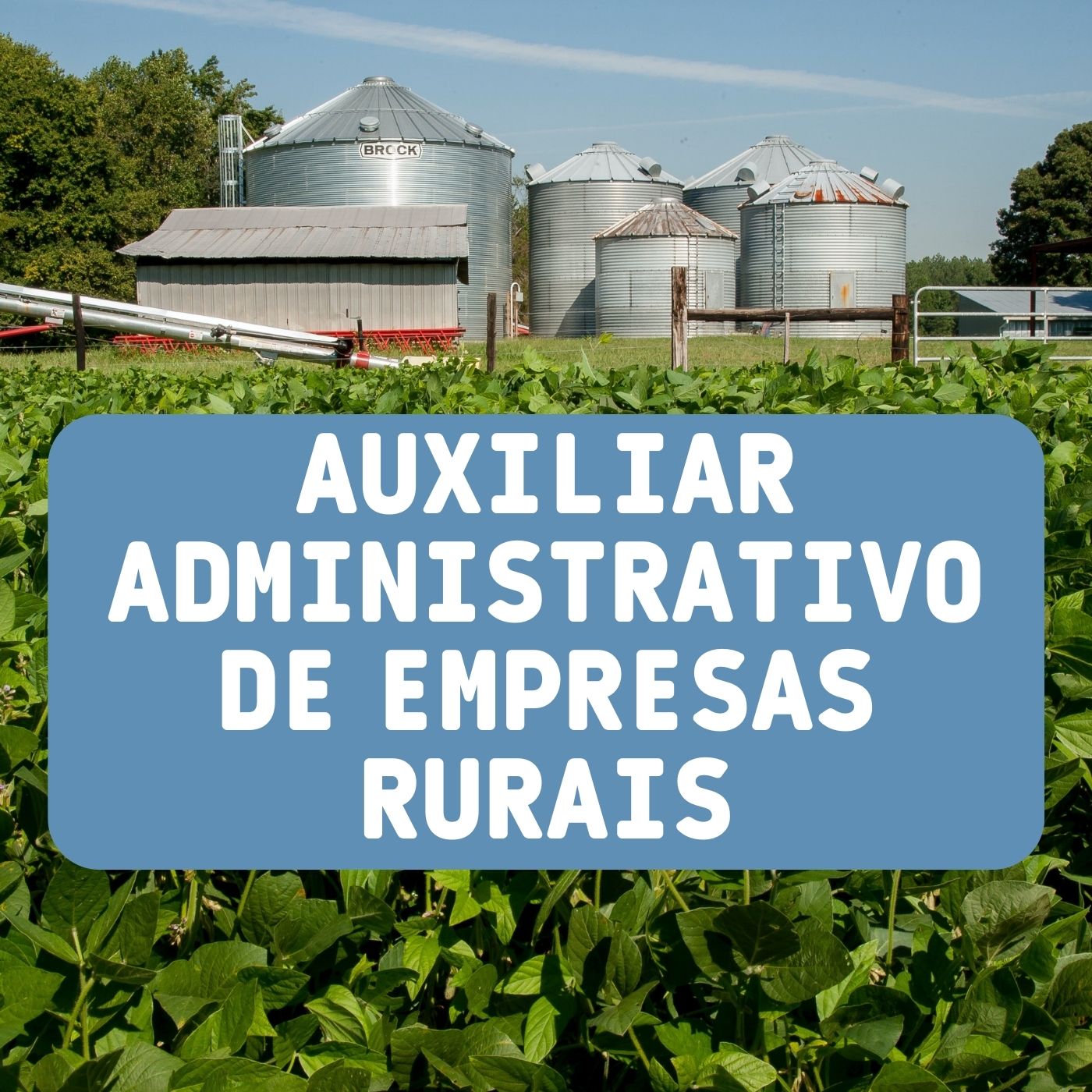 Qualificação profissional em auxiliar administrativo de empresas rurais - Goiás Tec